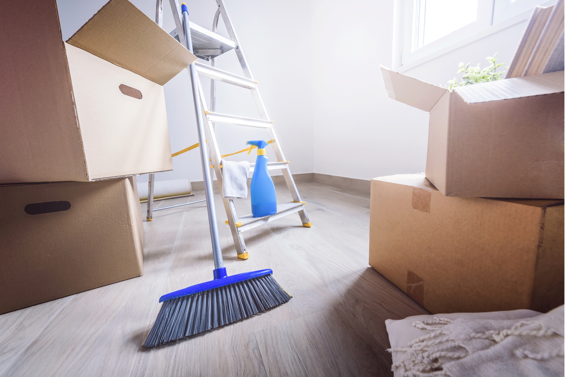 Home 6 Move in and move out your cleans